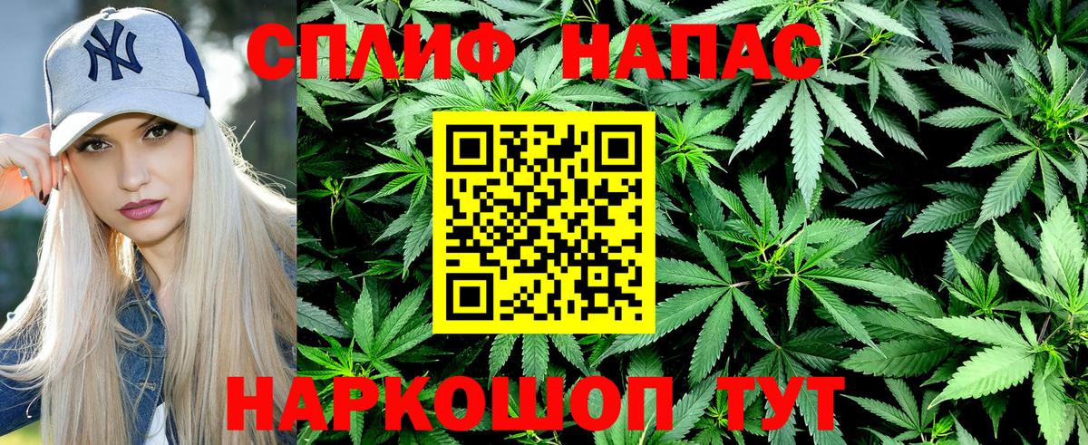 Аша  Шишки марихуана планчик  Вход с VPN  Марихуана конопля  Бошки Шишки White Widow 